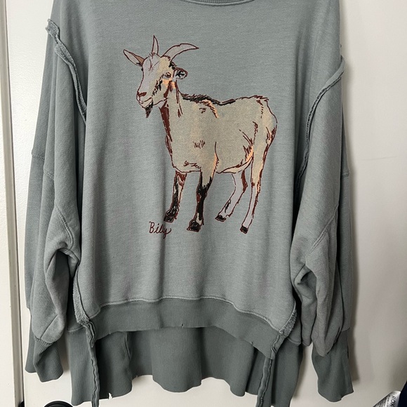 Free People Goat Graphic Sweater - Light Gray - Picture 3 of 6